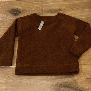 JCrew Brown Cozy Sweater